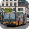 King County Metro articulated trolleys